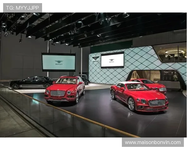 欧博网站未来发展规划与创新方向全面展望